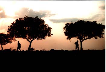 llanos_sunset