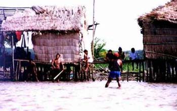 sinamaica