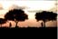 llanos_sunset